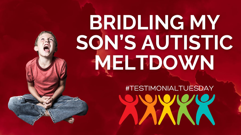 Bringing Stability Back into your Family's Life and Managing Autistic Meltdowns