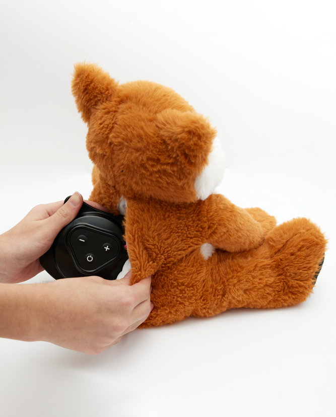 Combo Pack Rezzimax Tuner Pro II and Mini Kit