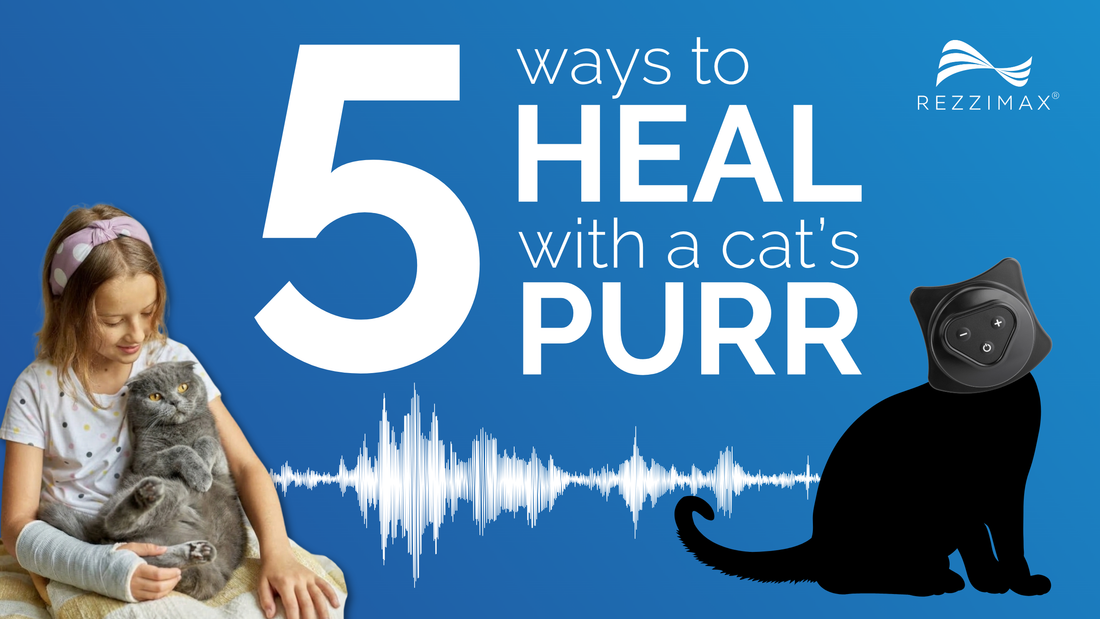 Learning from Nature: Tapping into the Healing Power of a Cat's Purr