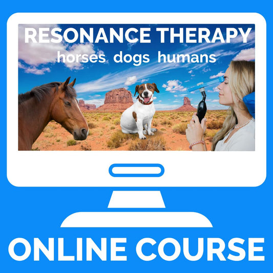 Hideaway Conference 2024 (Online Course)