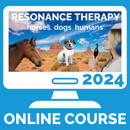 Rezzimax Classroom Bundle