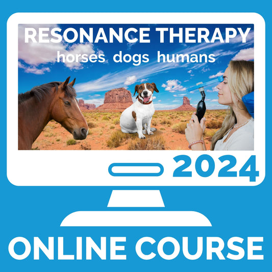 Hideaway Conference 2024 (Online Course)
